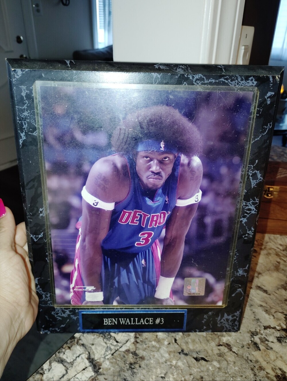 Ben Wallace Detroit Pistons Framed Photo Plaque - Blue/Purple
